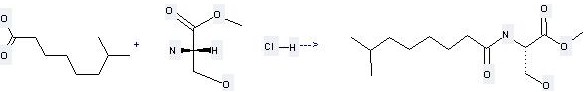 Uses of Octanoic acid, 7-methyl-.